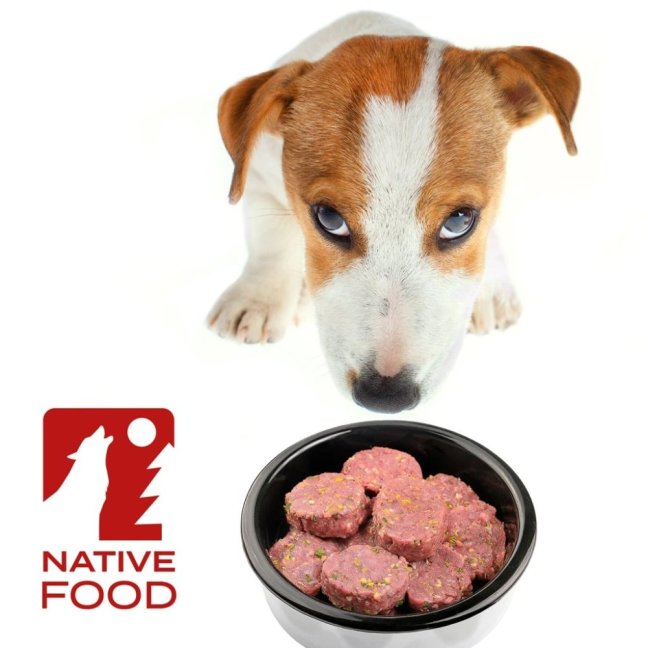 BARF Fitt® krůtí kompletní krmivo, mražené dogety 2,5 kg