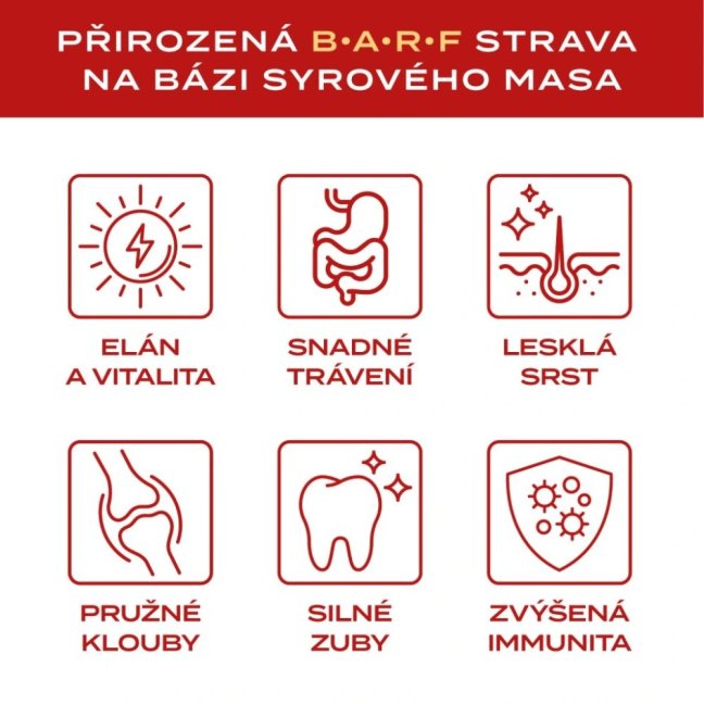 BARF Fitt® hovězí kompletní krmivo, mražené dogety 2,5 kg