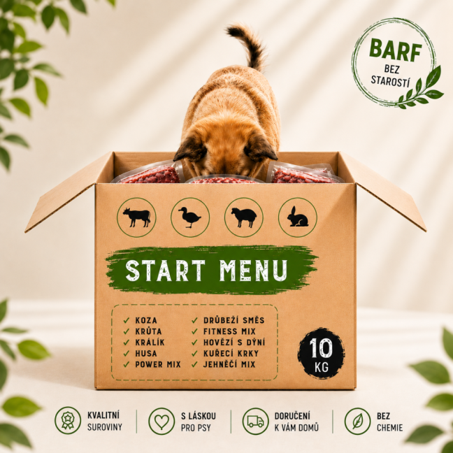 Start menu 10 kg