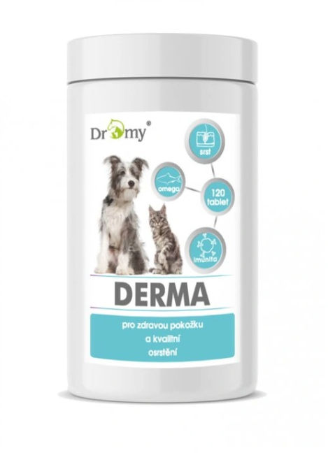 Derma 120 tbl.