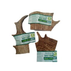 Dančí paroh měkčí (M) 1 ks