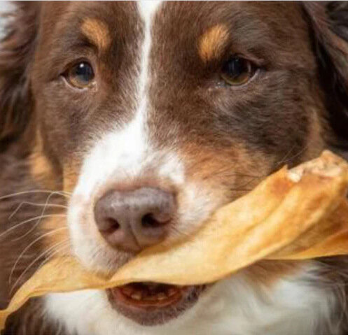 The Buffalo Co. Sušené buvolí uši – 10 kusů