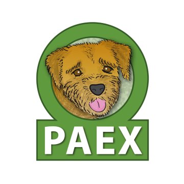 PaeX GmbH