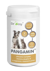 Pangamin MINI 1000 tablet